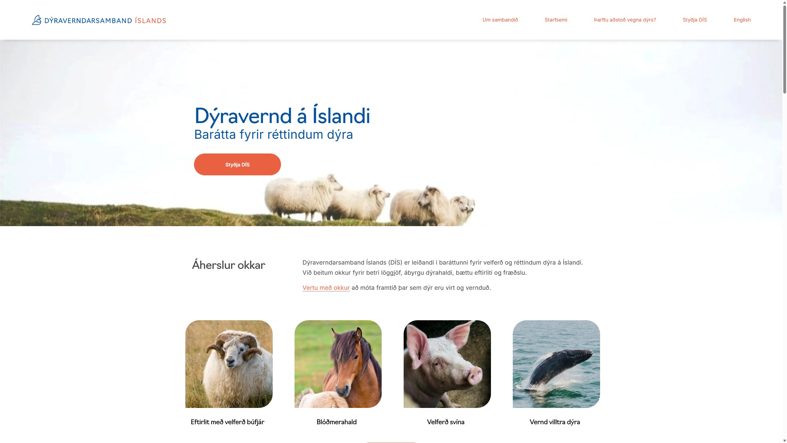 https://www.dyravernd.is/
